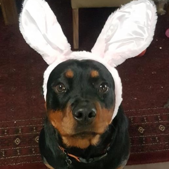 Meet your Posher, Lorraine - Picture 1 of 1